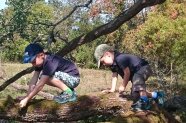 Kletternde Kinder